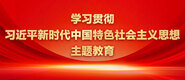 男生c女生大臭逼学习贯彻习近平新时代中国特色社会主义思想主题教育_fororder_ad-371X160(2)